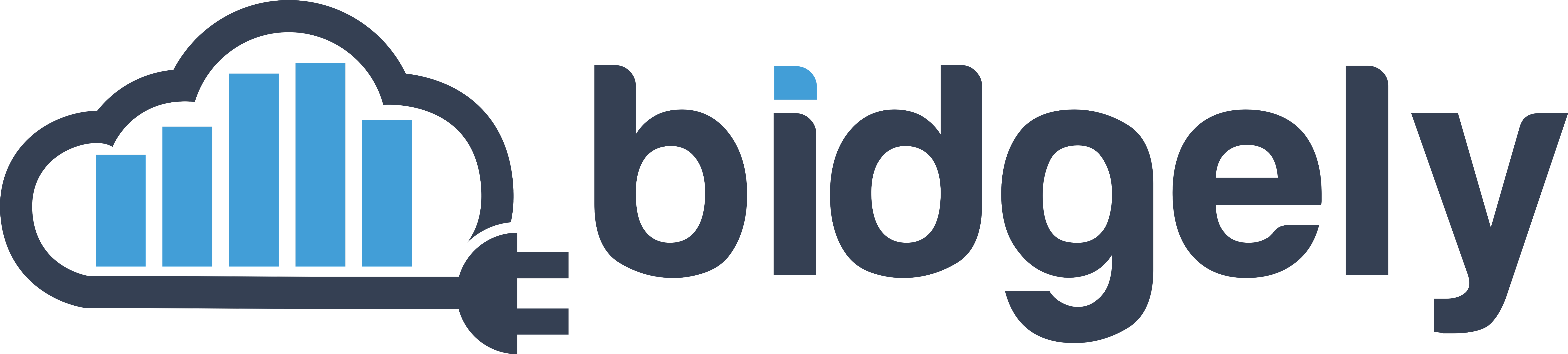 Bidgely logo