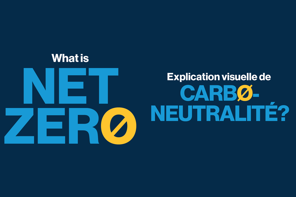 Net Zero Infographic webicon 2